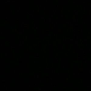 Meet your Posher, Stella